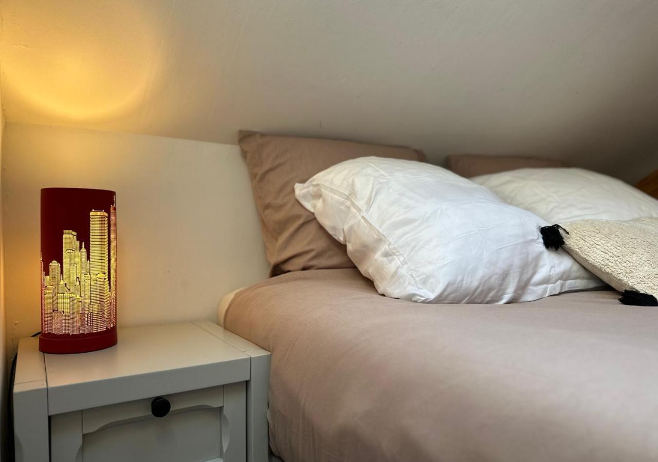 Duplex Loft - Central & Home Cinema Annecy Esterno foto