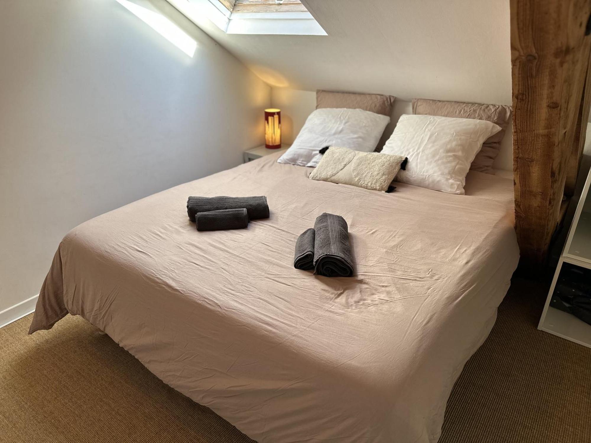 Duplex Loft - Central & Home Cinema Annecy Esterno foto